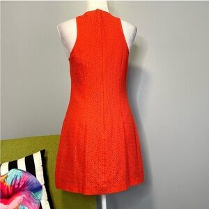 Cece Orange Lace Mini Cocktail Sheath Dress 6